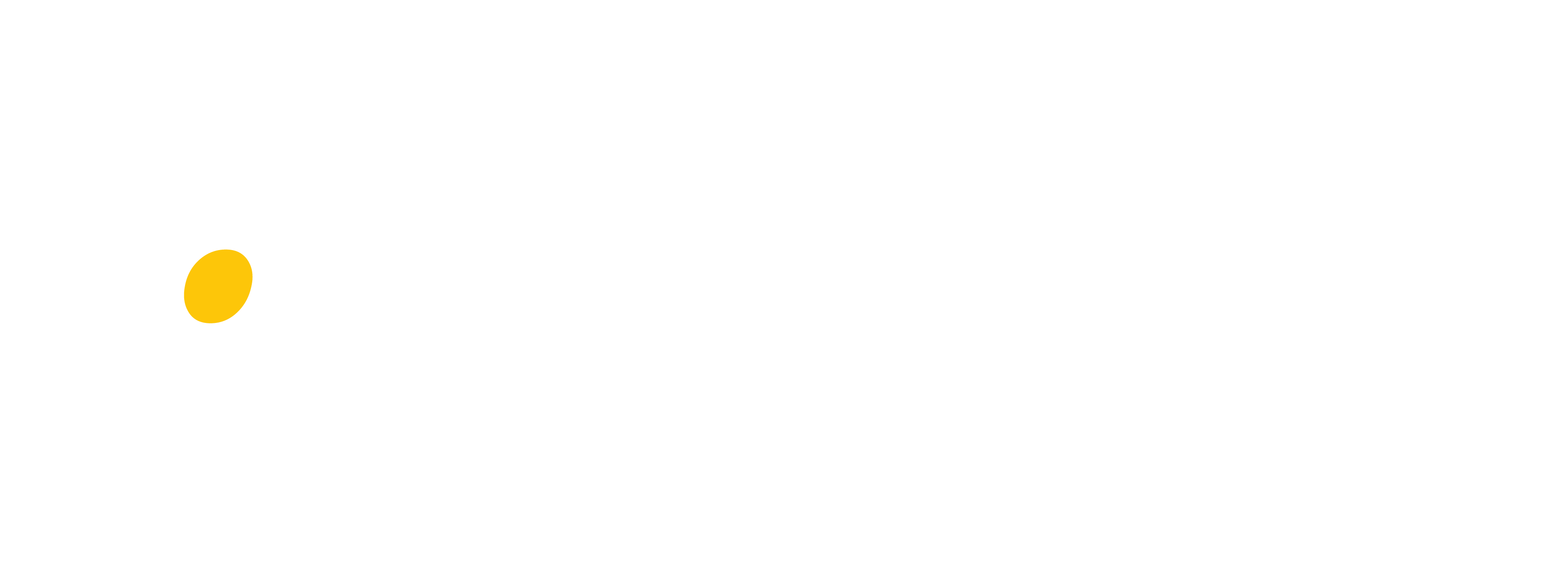 Paycell Logo